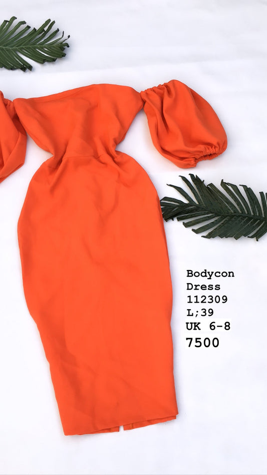 Bodycon Dress